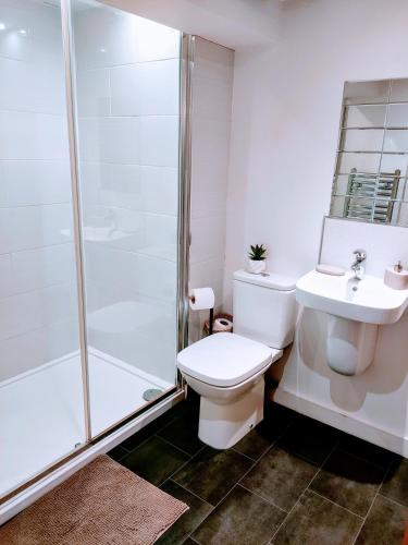 OssettButterfly Apartment的带淋浴、卫生间和盥洗盆的浴室