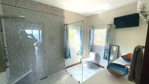 西湾Casa Flomingo Roatan的带淋浴和卫生间的浴室。