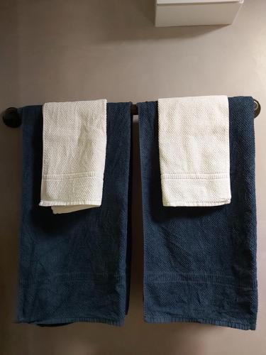 索洛图恩Solothurn的浴室毛巾架上挂着两条毛巾