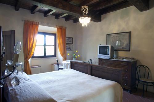 维尔吉利奥Agriturismo Corte Virgiliana的一间卧室配有一张大床和电视