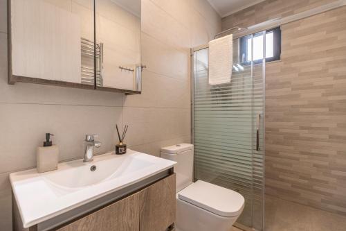 阿凯松Zante Melina's Apartment的一间带水槽、卫生间和淋浴的浴室