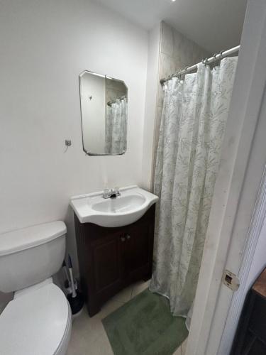 西棕榈滩Private Rooms in West Palm Beach - Next to Airport的一间带卫生间、水槽和镜子的浴室