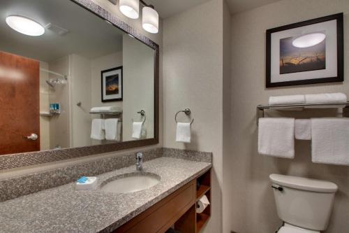 克拉尔维尔Drury Inn & Suites Iowa City Coralville的一间带水槽、卫生间和镜子的浴室