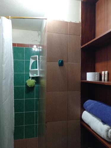HuamboyaDEPARTAMENTO completo cercano a muchos lugares的一间铺有绿色瓷砖的淋浴浴室