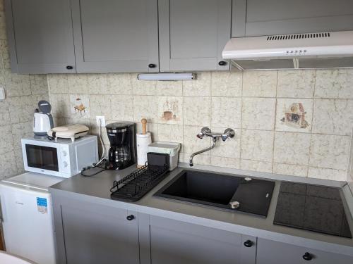 波尔托罗Appa Apartments的厨房配有水槽和微波炉