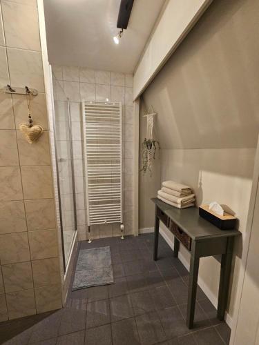 阿尔森德阿森瑟赫伯格酒店的带淋浴、桌子和水槽的浴室