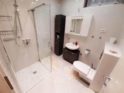 珀德垂那Pension Alba的带淋浴、卫生间和盥洗盆的浴室