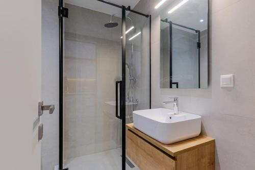 塞萨洛尼基SKG Central Gateaway的浴室配有白色水槽和淋浴。