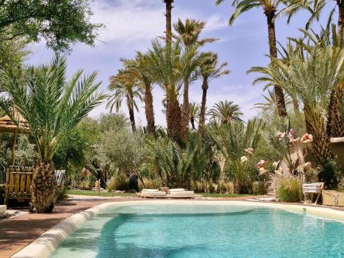斯库拉勒马旅馆的棕榈树庭院内的游泳池