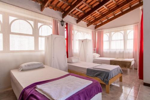 明德卢Maya Apartments的一间卧室设有两张床和两个窗户。