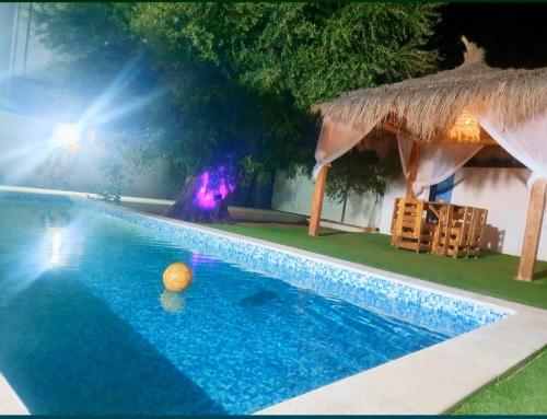 阿格希尔Villa de luxe avec piscine privée sans vis à vis à Djerba的小屋旁的游泳池,有球