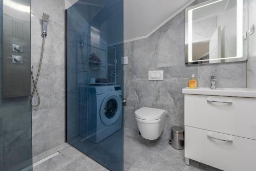 BribirVilla Izvor的带淋浴和洗衣机的浴室