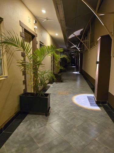 MauaSanrod Hotel Maua的楼内带有盆栽的走廊