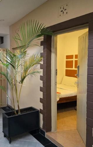 MauaSanrod Hotel Maua的一间有床和盆栽的房间