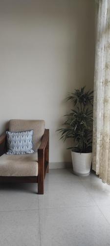 KohīmaVesavolu Homestay的房间里的一张沙发和盆栽植物