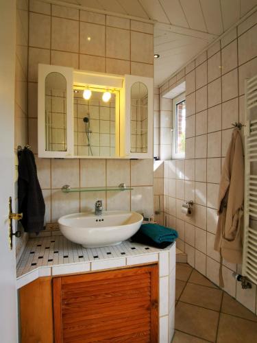 阿默灵豪森Seeromantik的一间带水槽和镜子的浴室