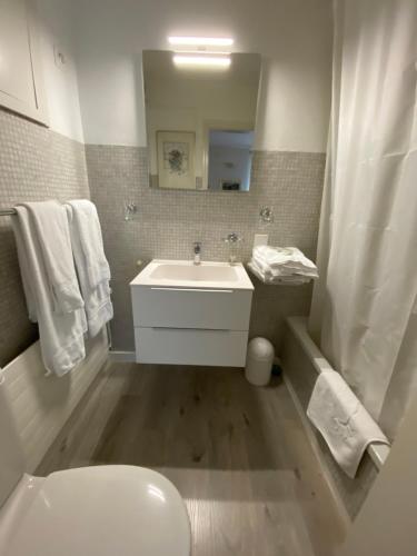 阿斯科纳Villa Ani的一间带水槽、卫生间和镜子的浴室