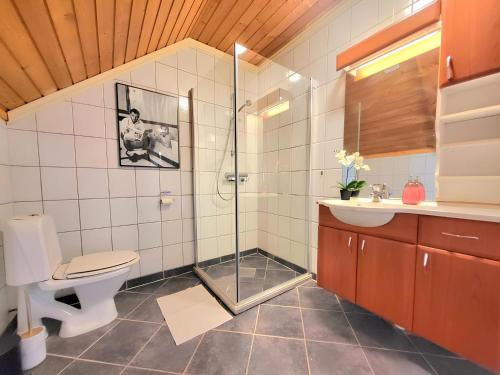 特隆赫姆Sunset Penthouse, Fjord View & Parking的带淋浴、卫生间和盥洗盆的浴室