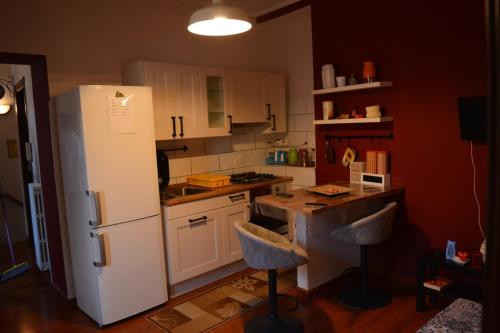 奥斯佩达勒托·达尔皮诺FD Apartment的厨房配有白色冰箱和台面