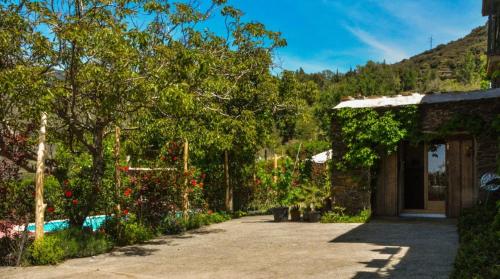 卡皮雷拉Los Castaños, Vivienda Rural, Capileira的种满树木和鲜花的庭院