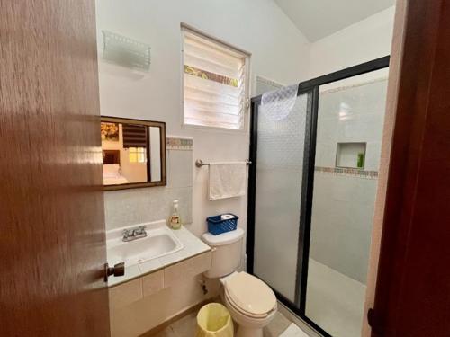 坎昆Orquideas Villas & Studios at Country House的浴室配有卫生间、盥洗盆和淋浴。