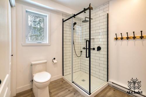 圣弗朗索瓦小河Le Loonix- Chalet familiale avec Spa的一间带卫生间和玻璃淋浴间的浴室