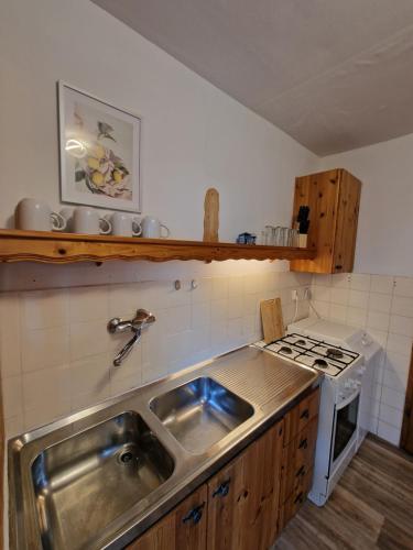 温特巴赫RANGE- Landhaus mit Panoramablick - 2 Apartments - 12 Personen的厨房配有水槽和炉灶
