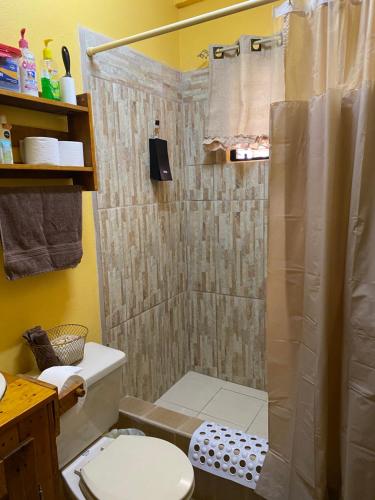 伯利兹城City Garden 2 Apartment的带淋浴和卫生间的小浴室