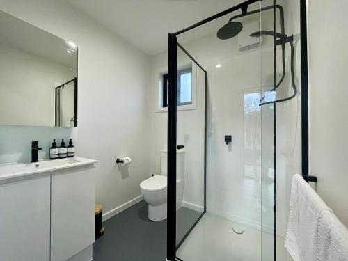 克莱斯韦克Creswick Holiday Park的一间带卫生间和玻璃淋浴间的浴室