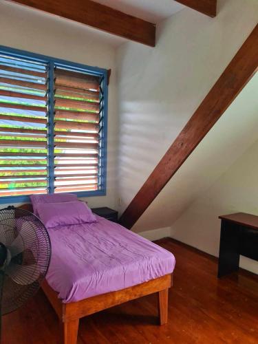阿皮亚USO Homestay Samoa的一间卧室配有一张紫色的床和一个风扇