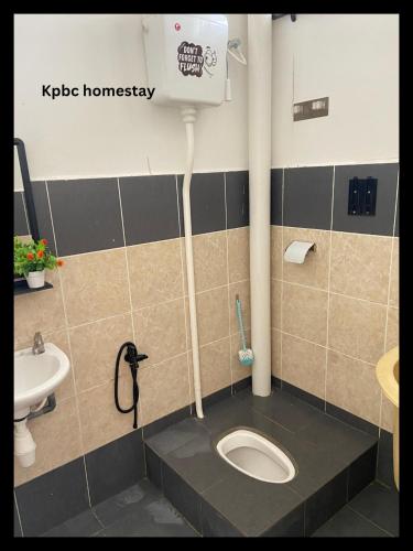 日得拉Kpbc Homestay 3bilik的一间带卫生间和水槽的浴室