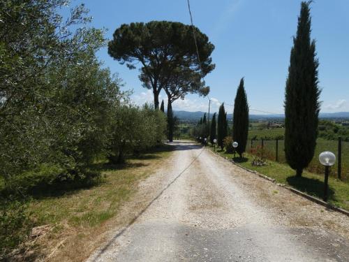 Castello delle FormeSCAPPO IN UMBRIA, Casale的两边有树木的土路