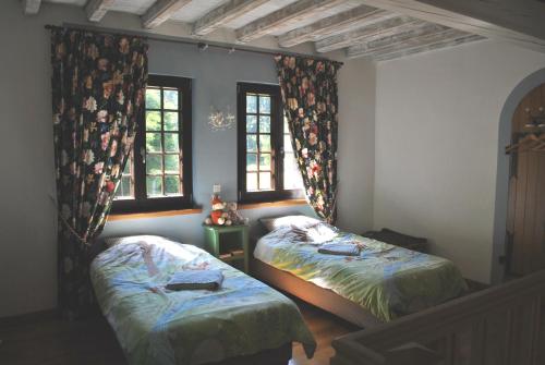 LohrLe Saint moulin de La Petite Pierre的一间卧室设有两张床和两个窗户。