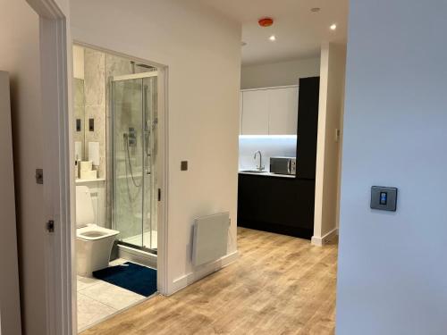 红山Luxury 1 Bed Apartment, Redhill (London & Gatwick)的带淋浴和卫生间的浴室