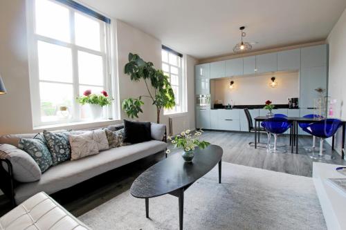 菲亚嫩Ruim appartement in monumentaal gebouw的带沙发和桌子的客厅以及厨房。