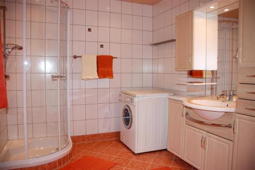 海因岑贝格布拉瑟霍夫旅馆的一间带水槽和洗衣机的浴室