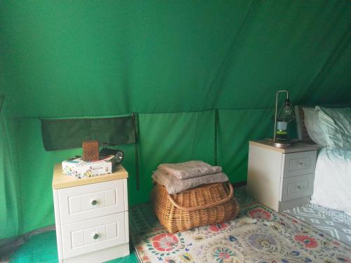 卡纳芬Mountain View的一间卧室设有一张床和绿色的墙壁