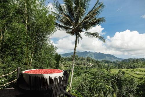 SelatCamaya Bali - Magical Bamboo Houses的棕榈树和红色砾石的大浴缸