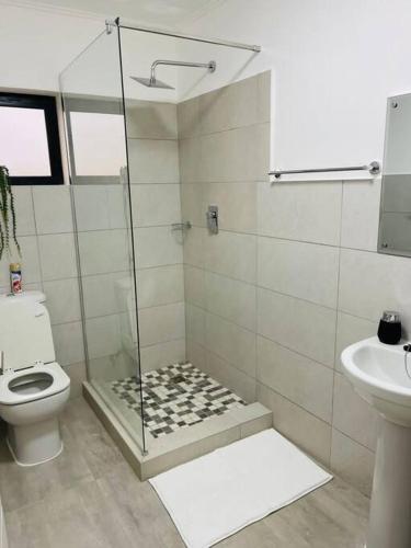 哈博罗内Motswedi 1 bedroom apartment B9的带淋浴、卫生间和盥洗盆的浴室