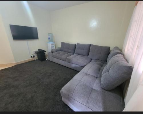 RuiruFancy Gateaway的客厅配有灰色沙发和平面电视