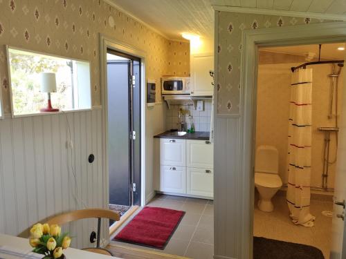 南雪平Korskullens Stugor的厨房配有白色橱柜和红色地毯