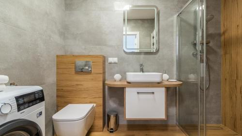 詹塔尔Apartamenty Sun & Snow Resort Jantar的一间带水槽和卫生间的浴室