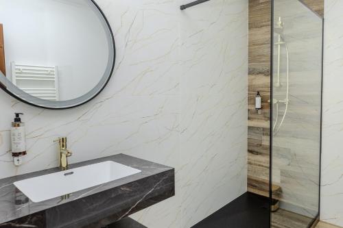 阿尔巴尤利亚卡罗琳酒店的一间带水槽和镜子的浴室
