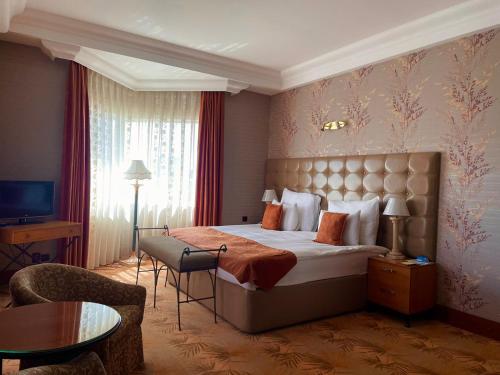 巴库欧洲大酒店 的酒店客房设有一张大床和一台电视。