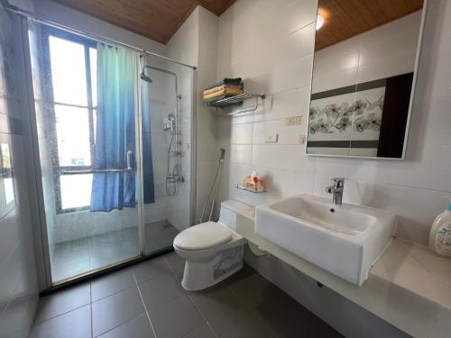 台南回家旅行的一间带水槽、卫生间和淋浴的浴室