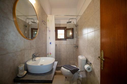 阿查拉维Harrys bar & apartments的一间带水槽、卫生间和镜子的浴室