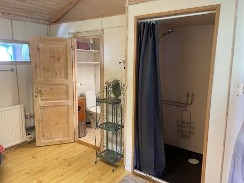 科斯塔Kosta Bed-Vandrarhem的客房设有带淋浴的衣柜和门。