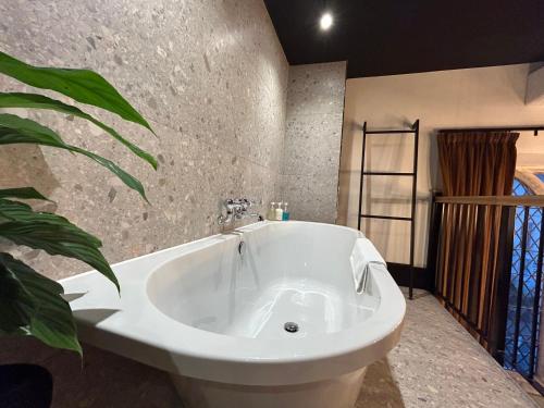 切尔滕纳姆Crescent Place的植物浴室内的白色浴缸