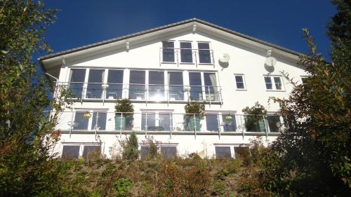 温特贝格费瑞池特兰德酒店的山丘上带阳台的白色房屋
