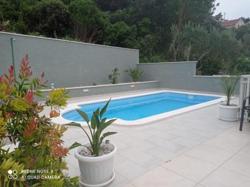 布尔纳Bleus Apartments的后院的游泳池,种植了植物